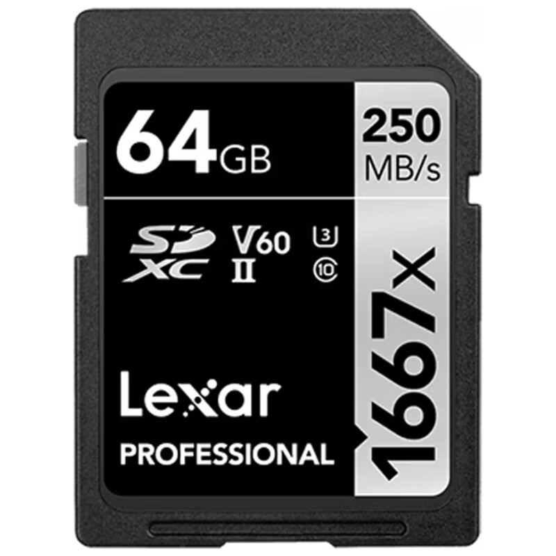Professional 1667X SDXC UHS-II V60 64GB 並行輸入品 LSD64GCB1667
