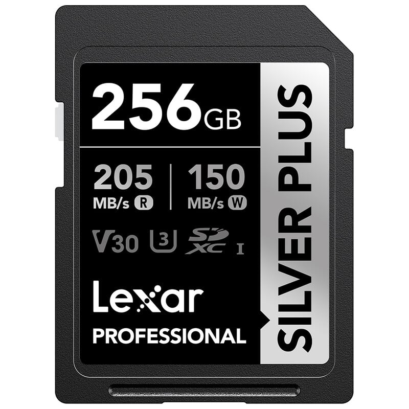 Professional SILVER PLUS SDXC UHS-I V30 256GB 並行輸入品 LSDSIPL256G-BNNNG