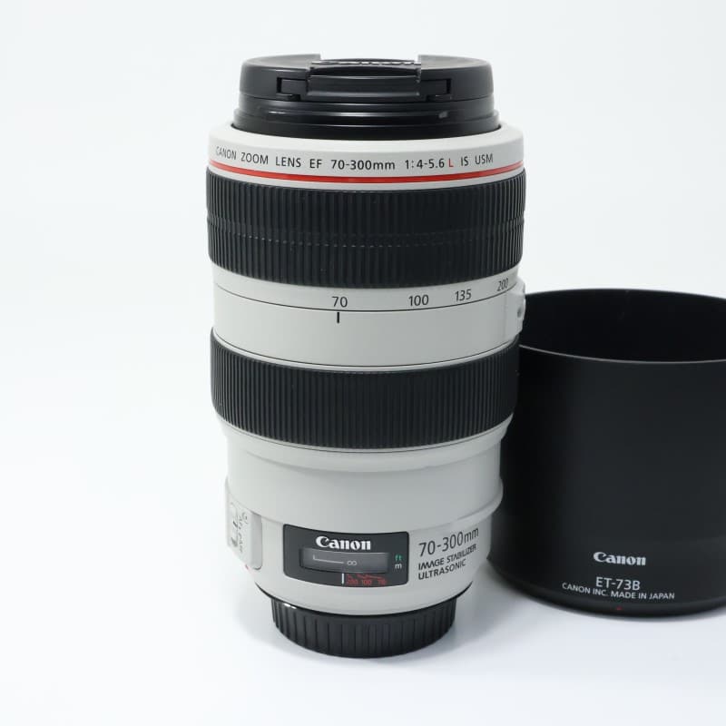 EF 70-300mm F4-5.6 L IS USM