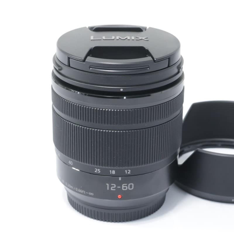 LUMIX G VARIO 12-60mm/F3.5-5.6 ASPH./POWER O.I.S. H-FS12060