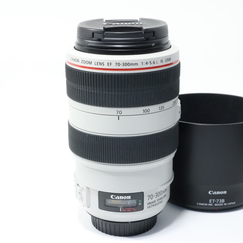 EF 70-300mm F4-5.6 L IS USM