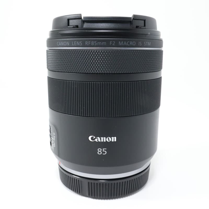 RF85mm F2 MACRO IS STM