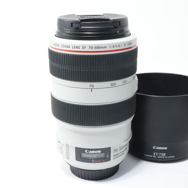 EF 70-300mm F4-5.6 L IS USM