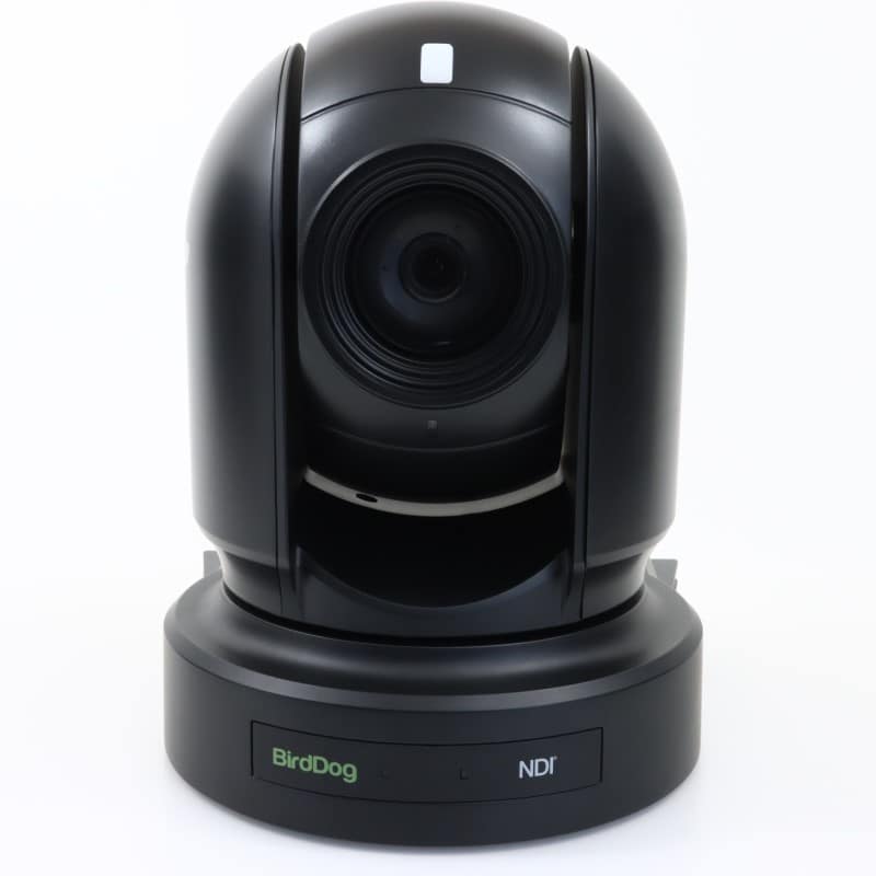 BirdDog EYES P200