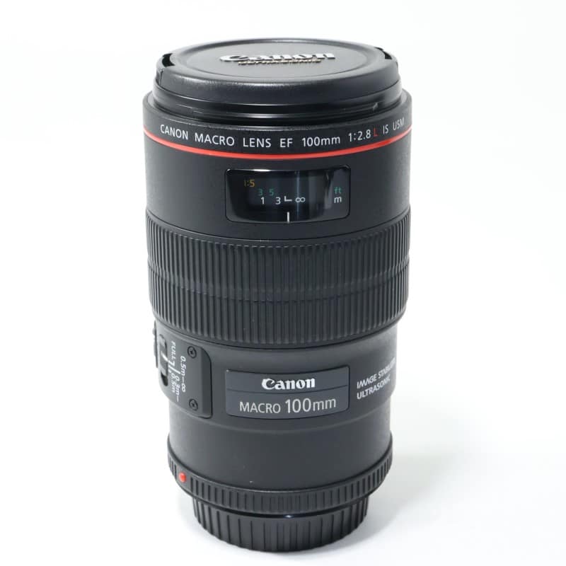 EF100mm F2.8Lマクロ IS USM