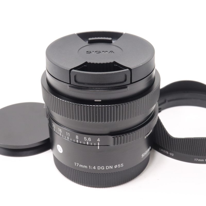 17mm F4 DG DN | Contemporary ソニーE