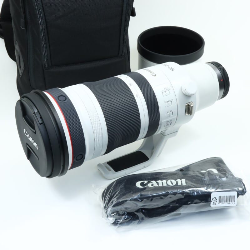 RF100-300mm F2.8 L IS USM