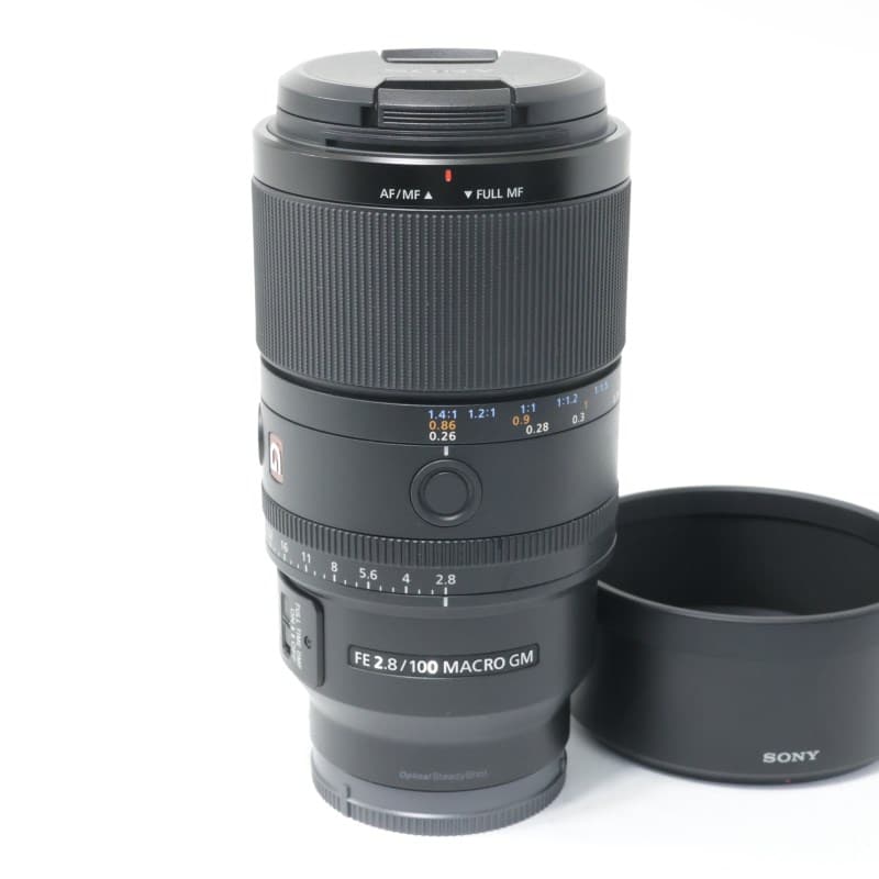 FE 100mm F2.8 Macro GM OSS SEL100M28GM