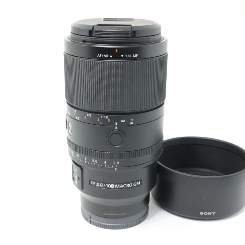 FE 100mm F2.8 Macro GM OSS SEL100M28GM