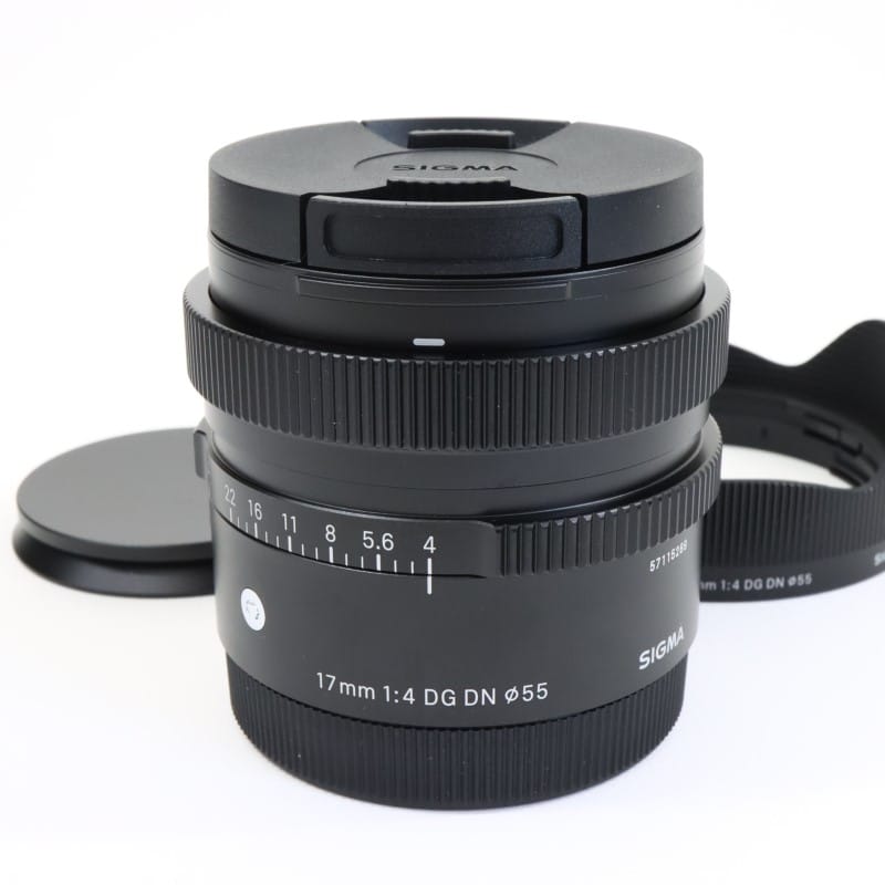 17mm F4 DG DN | Contemporary ソニーE