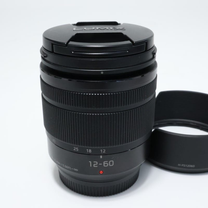 LUMIX G VARIO 12-60mm/F3.5-5.6 ASPH./POWER O.I.S. H-FS12060