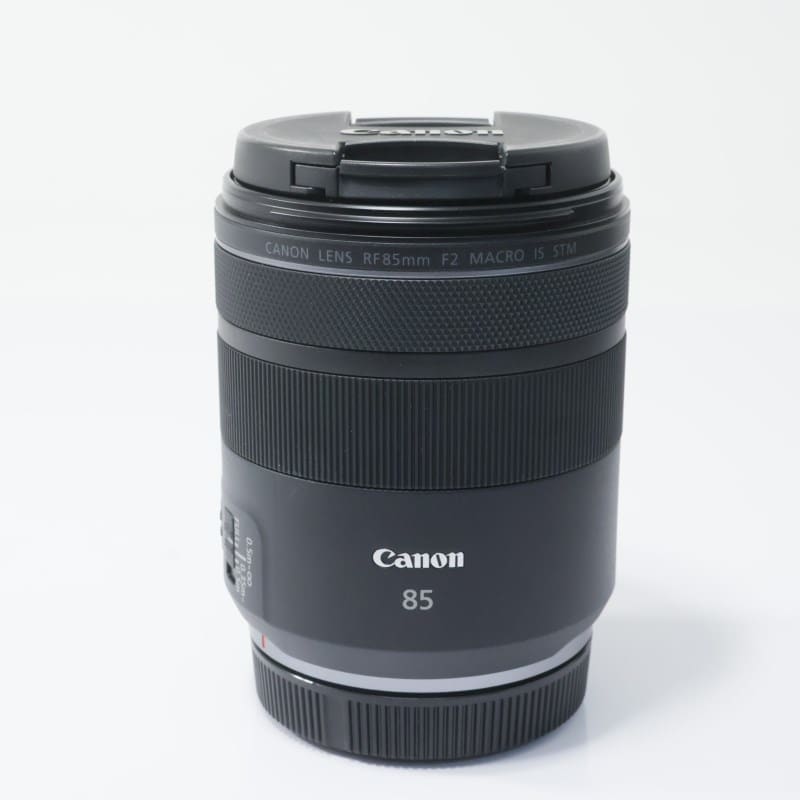 RF85mm F2 MACRO IS STM