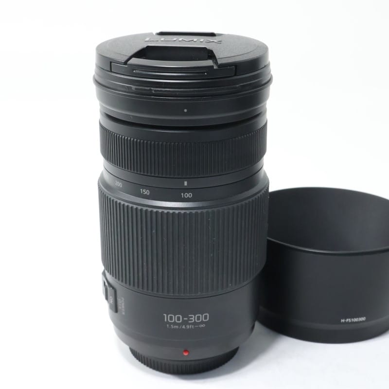 LUMIX G VARIO 100-300mm/F4.0-5.6 II/POWER O.I.S. H-FSA100300