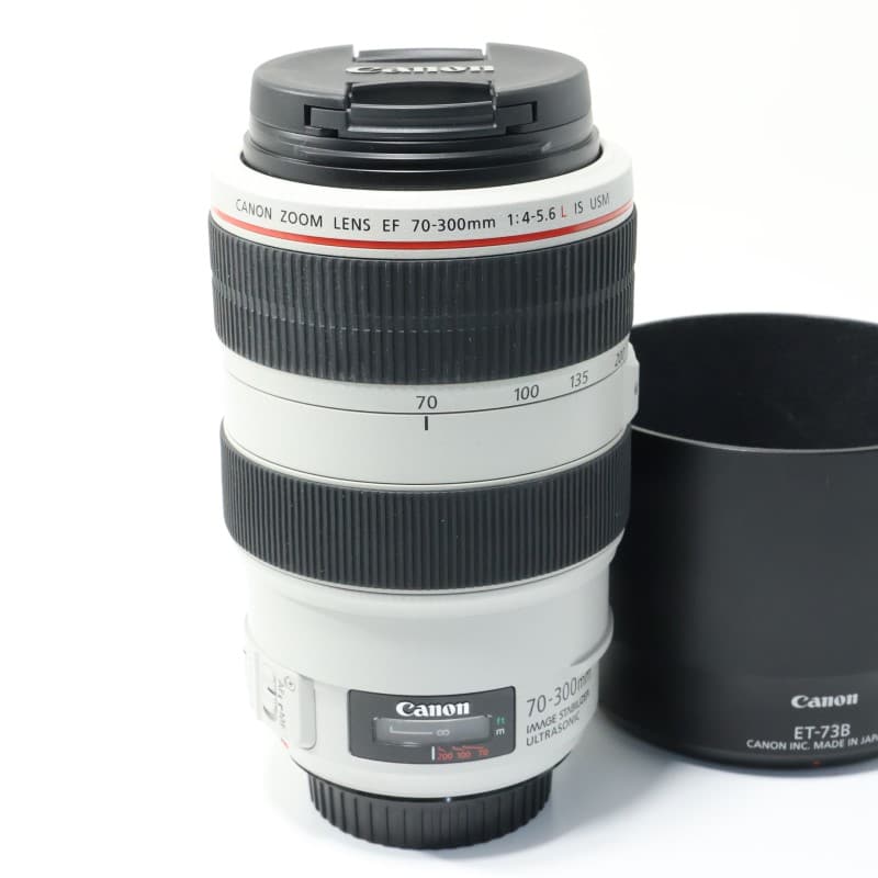 EF 70-300mm F4-5.6 L IS USM