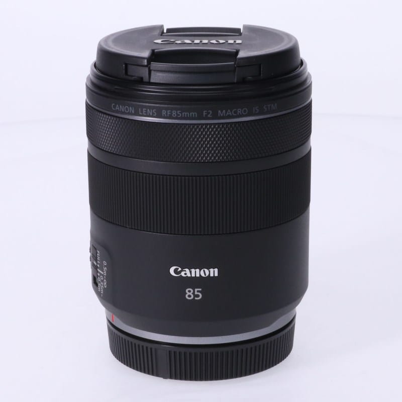 RF85mm F2 MACRO IS STM