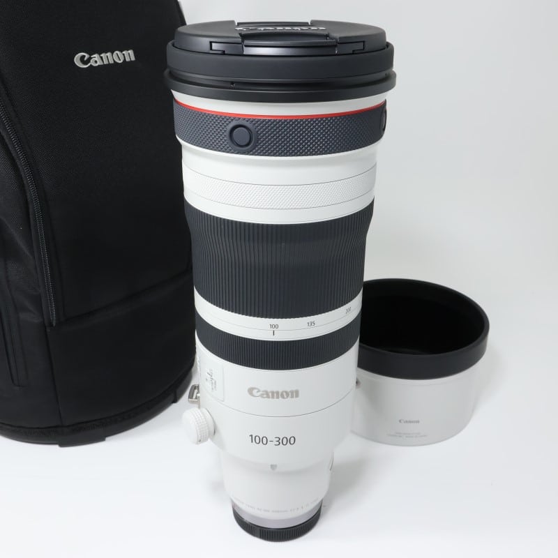 RF100-300mm F2.8 L IS USM
