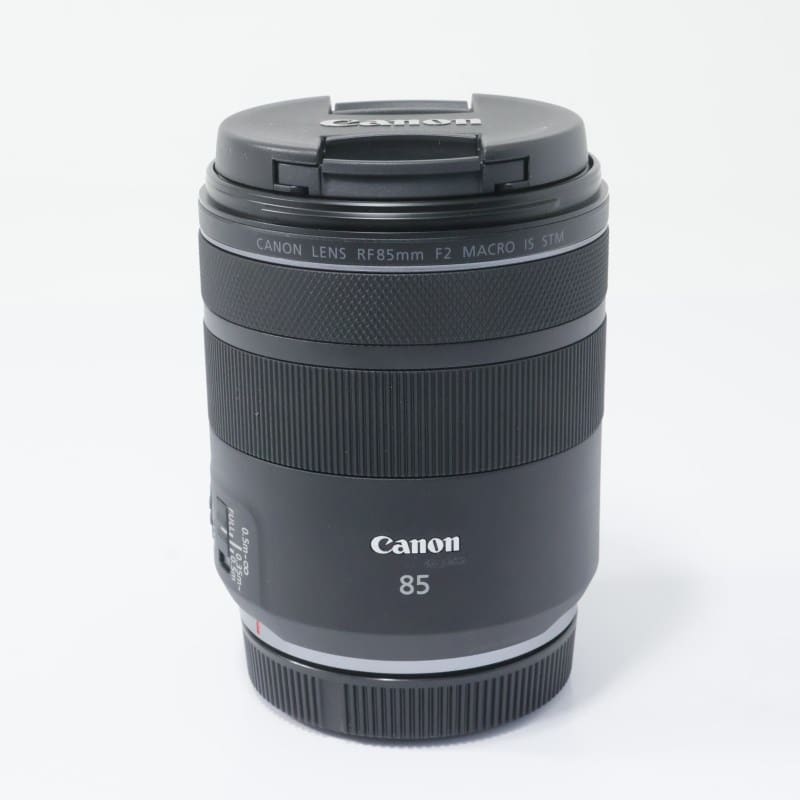 RF85mm F2 MACRO IS STM