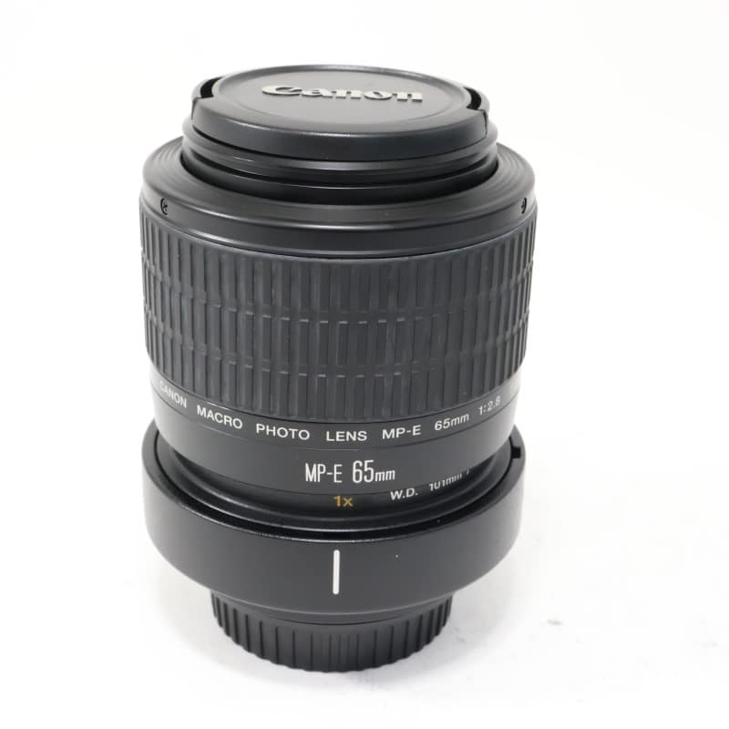 MP-E 65mm F2.8 1-5x マクロフォト