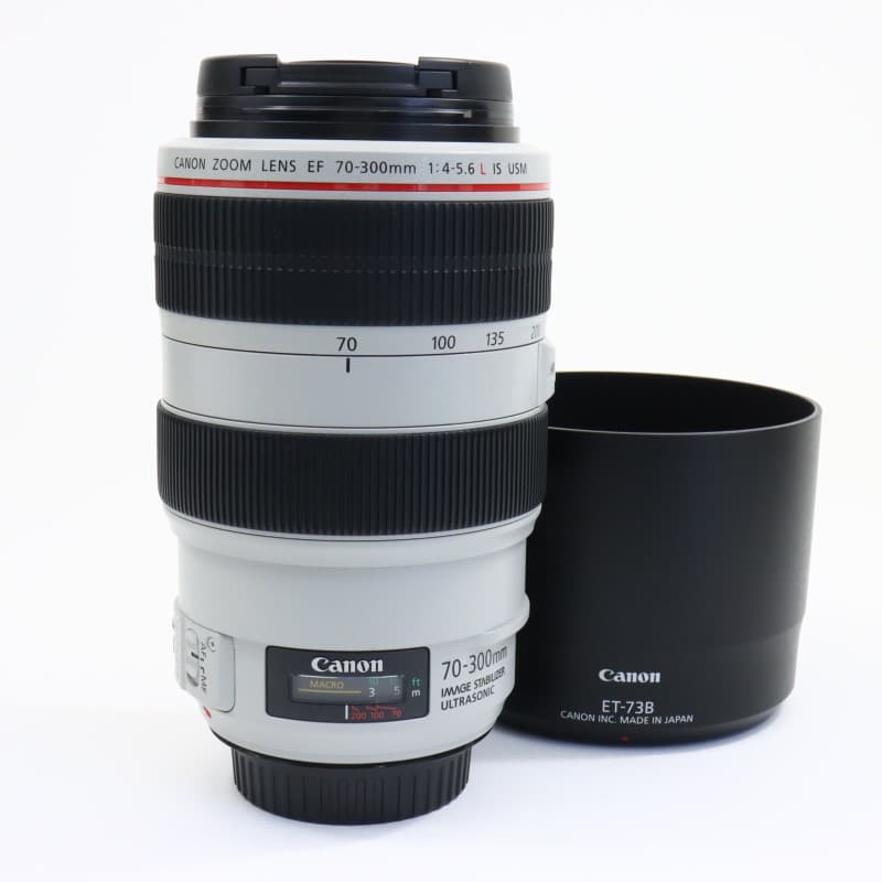 EF 70-300mm F4-5.6 L IS USM