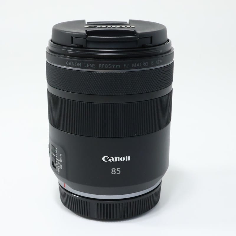 RF85mm F2 MACRO IS STM