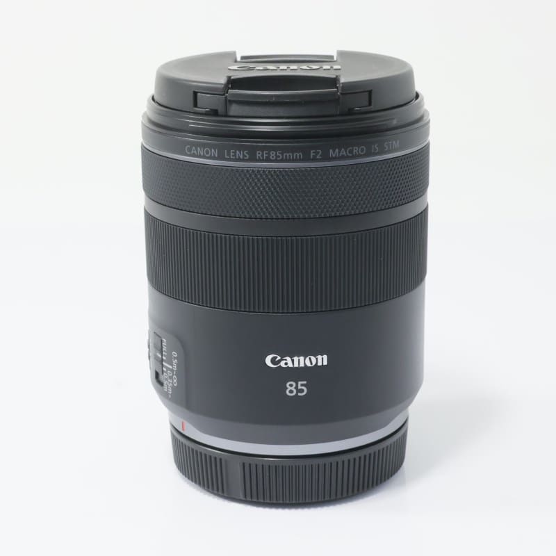 RF85mm F2 MACRO IS STM