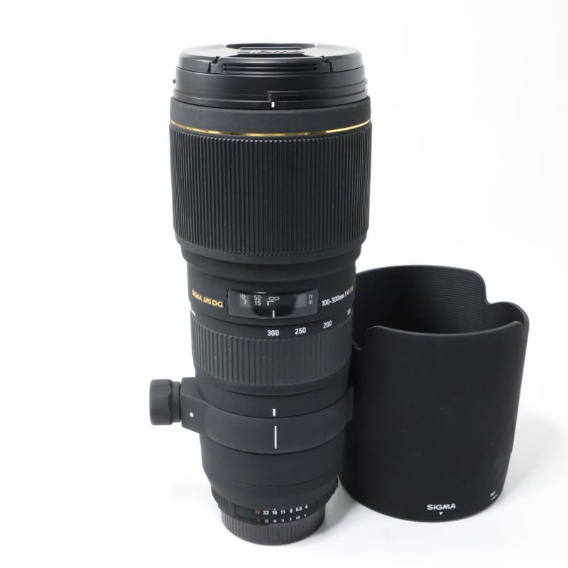 APO 100-300mm F4 EX DG HSM ニコン