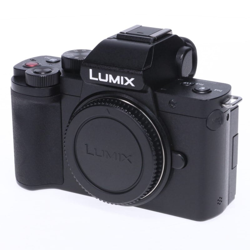 LUMIX G100 ボディ DC-G100