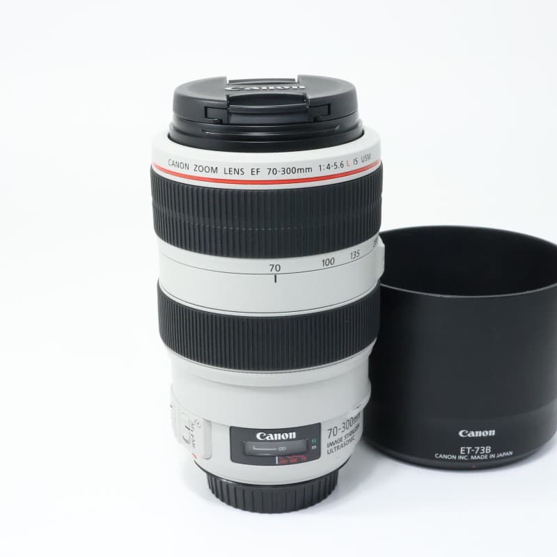 EF 70-300mm F4-5.6 L IS USM