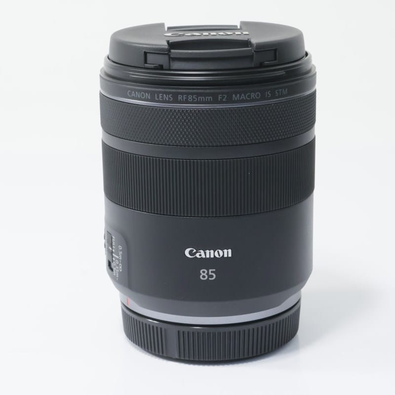 RF85mm F2 MACRO IS STM