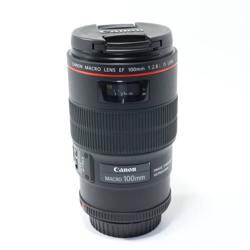 EF100mm F2.8Lマクロ IS USM