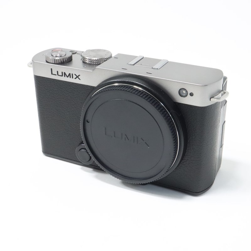 LUMIX S9 ボディ シルバー DC-S9-S