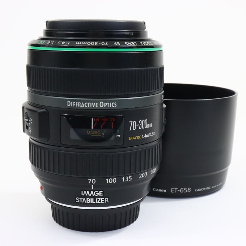 EF 70-300mm F4.5-5.6 DO IS USM