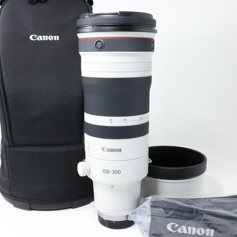 RF100-300mm F2.8 L IS USM