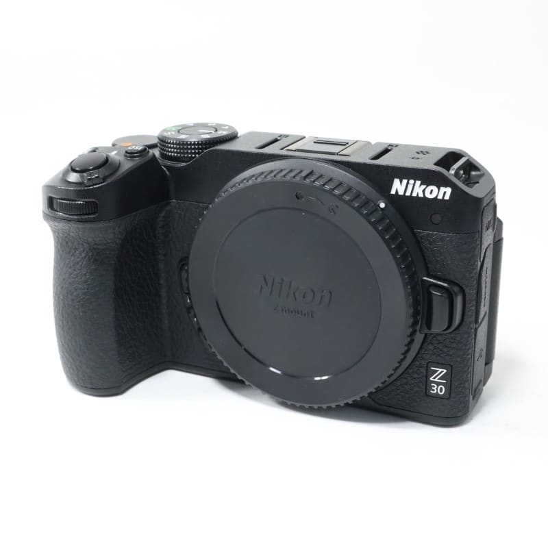 Z30 ボディ