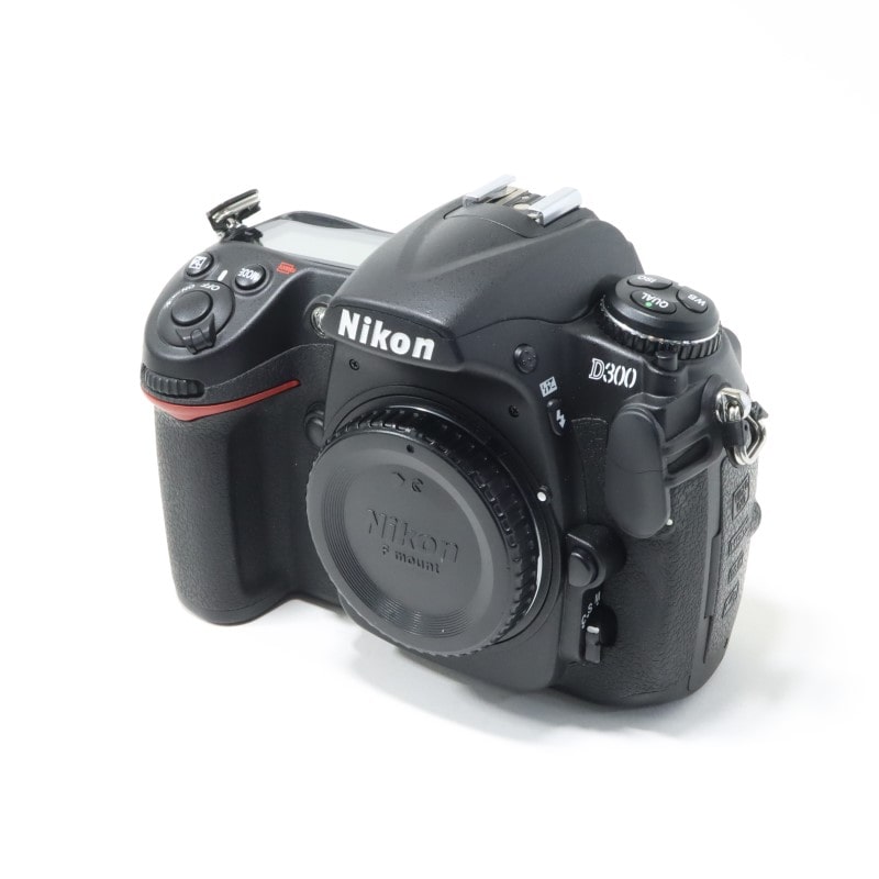 D300