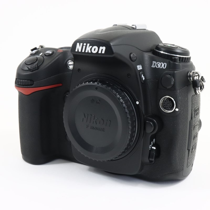 D300