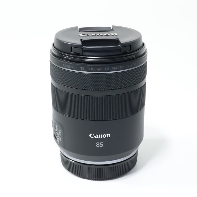 RF85mm F2 MACRO IS STM