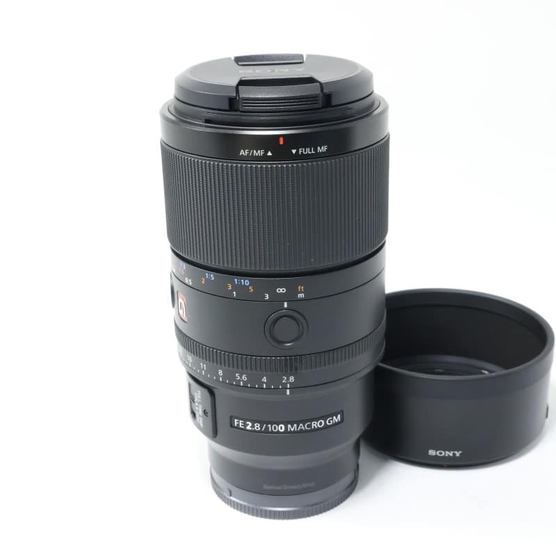 FE 100mm F2.8 Macro GM OSS SEL100M28GM
