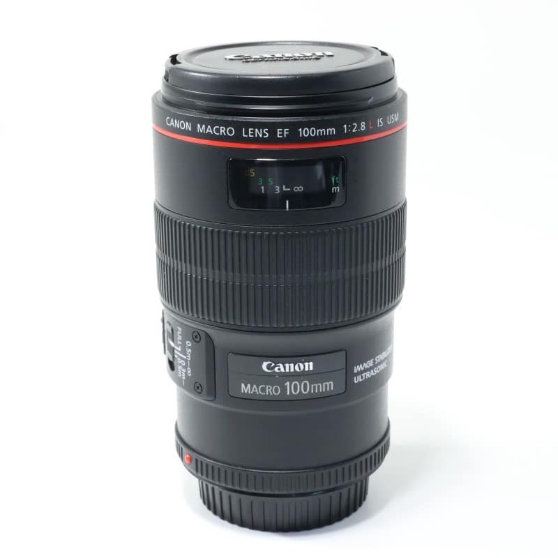 EF100mm F2.8Lマクロ IS USM