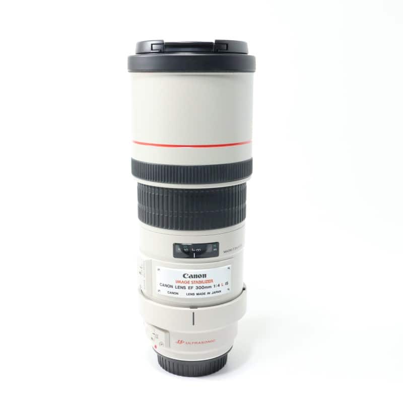 EF 300mm F4 L IS USM