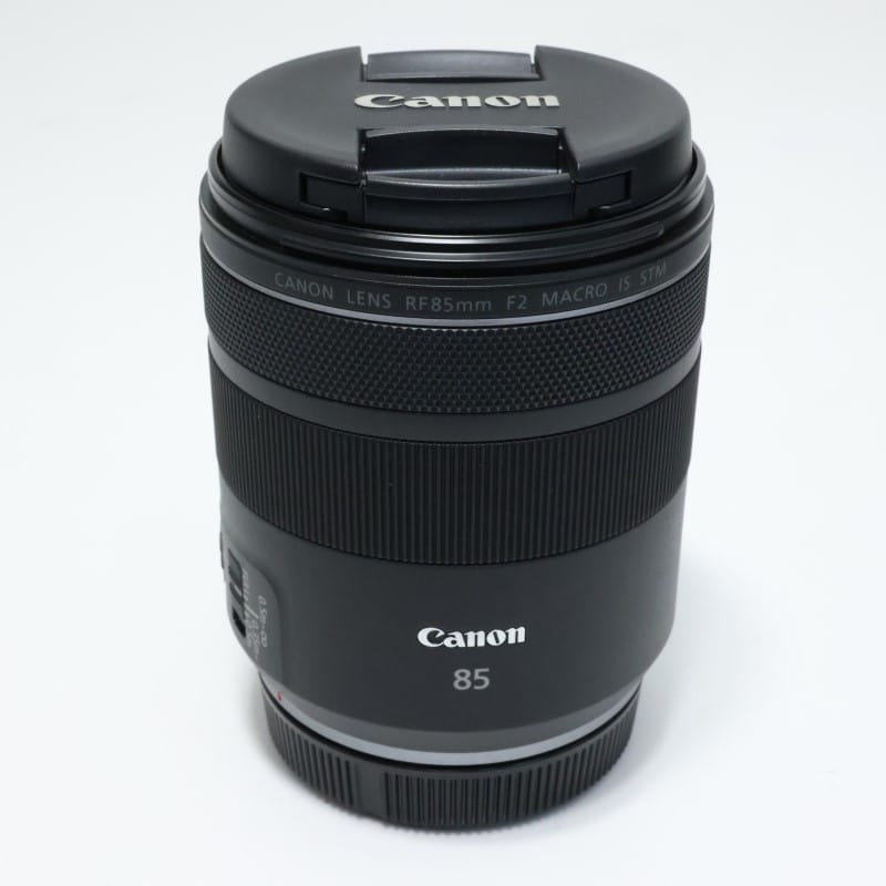 RF85mm F2 MACRO IS STM