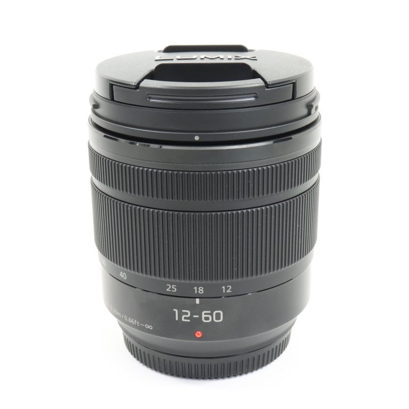 LUMIX G VARIO 12-60mm/F3.5-5.6 ASPH./POWER O.I.S. H-FS12060