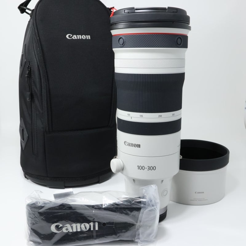 RF100-300mm F2.8 L IS USM
