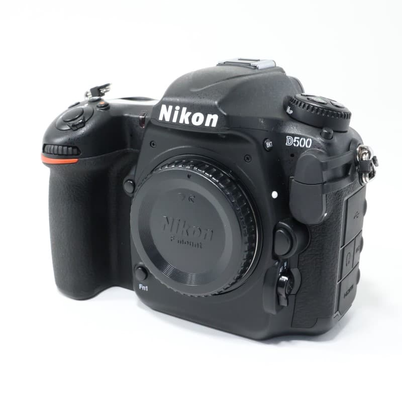 D500 ボディ