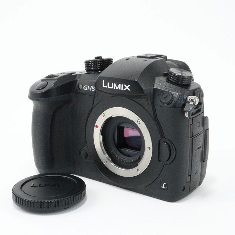  Com Lumix Dcgh5  