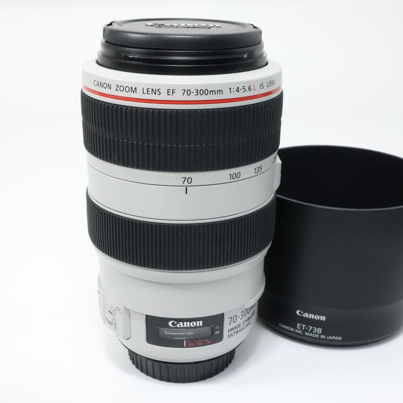 EF 70-300mm F4-5.6 L IS USM