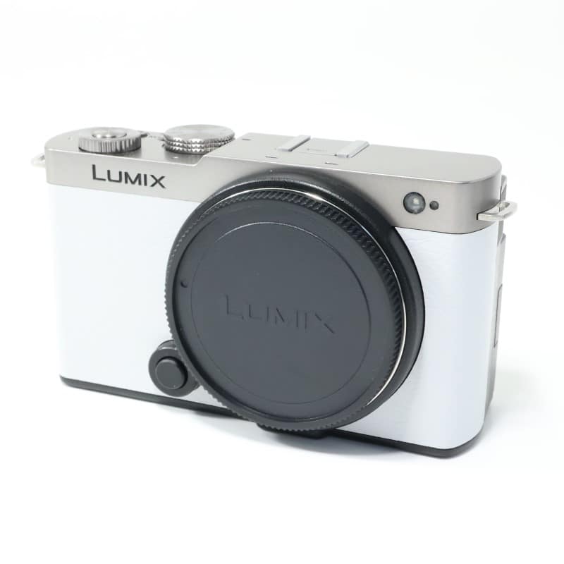 LUMIX S9 ボディ ダークシルバー DC-S9-S