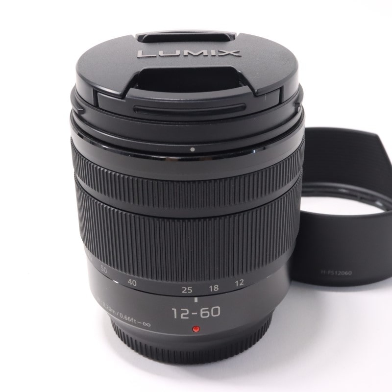 LUMIX G VARIO 12-60mm/F3.5-5.6 ASPH./POWER O.I.S. H-FS12060
