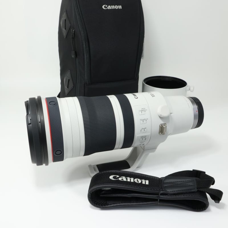 RF100-300mm F2.8 L IS USM