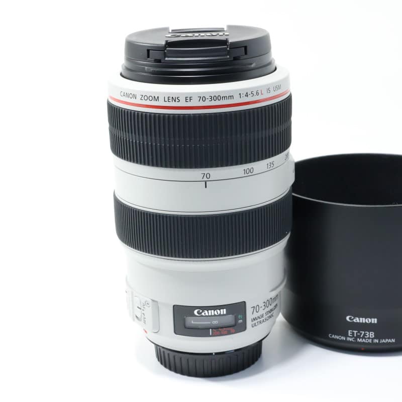 EF 70-300mm F4-5.6 L IS USM